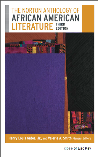 The Norton Anthology of African American Literature 3rd Ed.